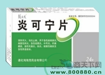 炎可寧片 招商政策、價(jià)格說(shuō)明、功效用量及長(zhǎng)春寶華醫(yī)藥網(wǎng)絡(luò)優(yōu)勢(shì)全解析